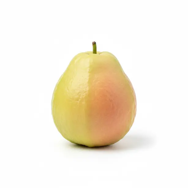 Guava